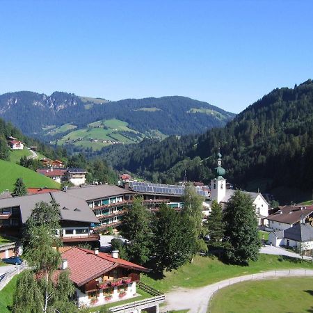 Apartments Schatzberg-Haus, Wildschoenau-Auffach Dış mekan fotoğraf
