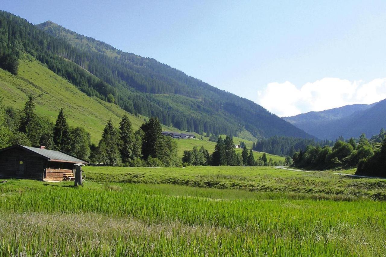 Apartments Schatzberg-Haus, Wildschoenau-Auffach Dış mekan fotoğraf