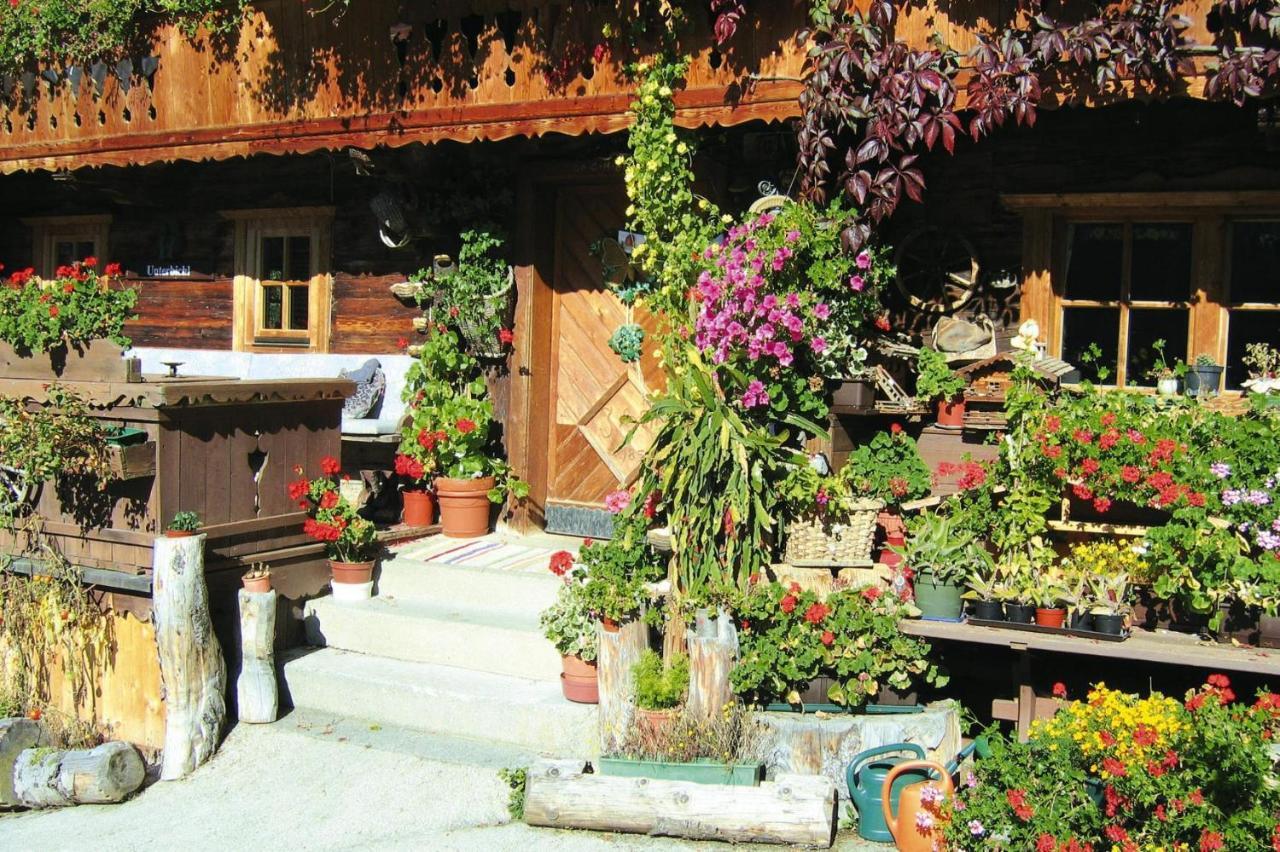 Apartments Schatzberg-Haus, Wildschoenau-Auffach Dış mekan fotoğraf